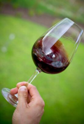 Copa de vino tinto español